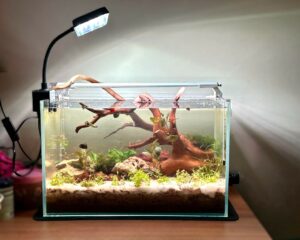 25Ltr Aquarium